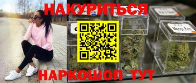 индика Ирбит