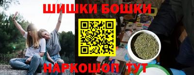 индика Ирбит
