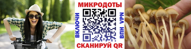 Псилоцибиновые грибы мицелий  где найти наркотики  Таганрог 