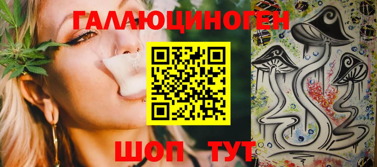 Псилоцибиновые грибы Psilocybe Таганрог