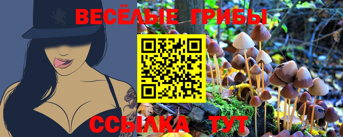 Таганрог  Галлюциногенные грибы MAGIC MUSHROOMS  Вход с VPN 